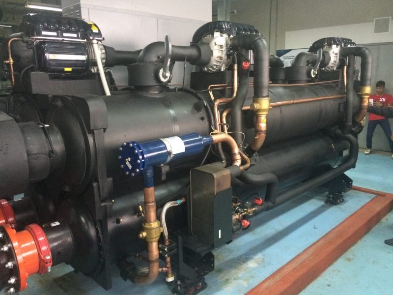 15179140735725_IMG_4513-scaled-qwtu65ra121757ljcsrbusdb9uehke4v629skzzjao