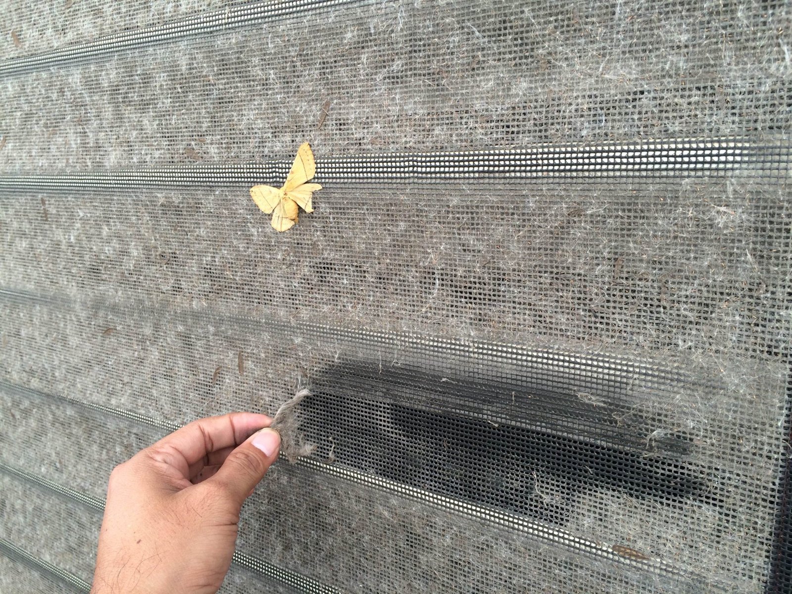 15179781735771_IMG_0718-2048x1536