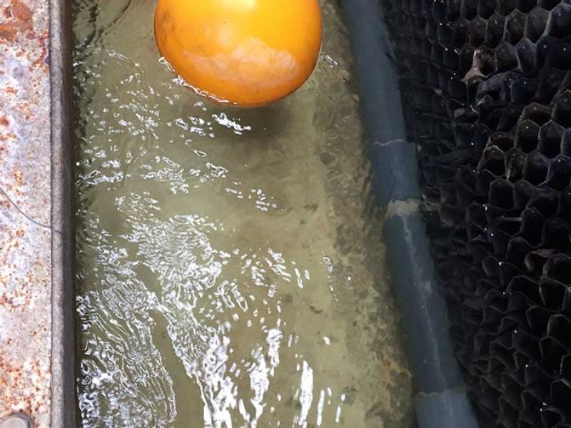 15185101886138_IMG_6085-qwr1bl2umu1tmb7kcyo6mg8b3b1hv808cdz4st2qgg