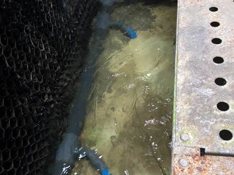 15185101995353_IMG_6086-qwr1bj7695z8z3aanxuxhgpdwjarftsro4o5u95isw