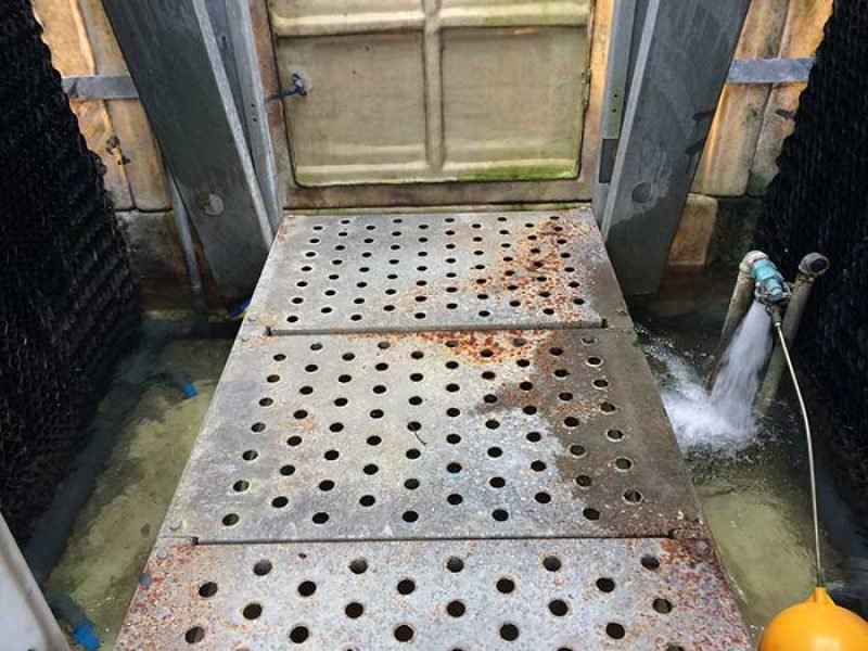 15185102077759_IMG_6087-qwr1bgdnonve09ee4en1rzf04donsqhknqppef9pbk