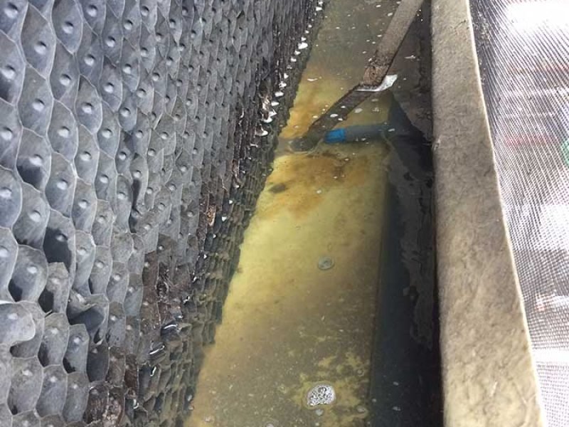 15185102225514_IMG_6088-qwr1behzazstd1h4fdtsmzw2xlxxdca3zheqfvcho0