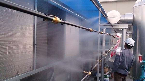 15185156188225_DSC_2595-1